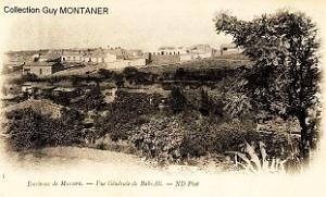Mascara 017- Collection Montaner_2